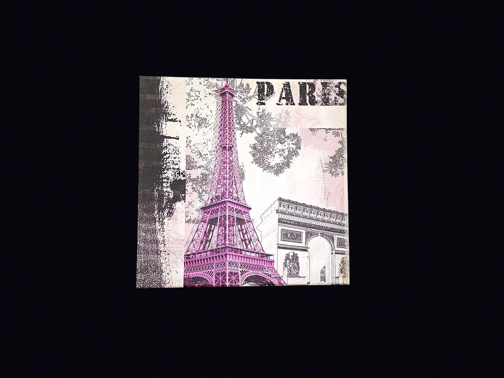 Paris Eiffel Tower Canvas Print 20x20