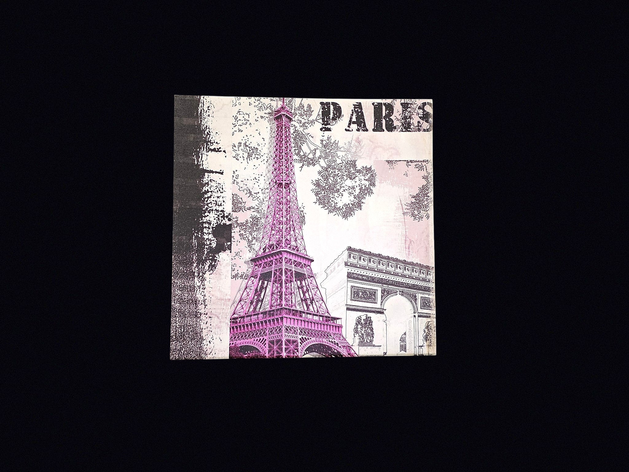 Paris Eiffel Tower Canvas Print 20x20