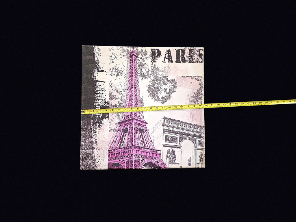 Paris Eiffel Tower Canvas Print 20x20