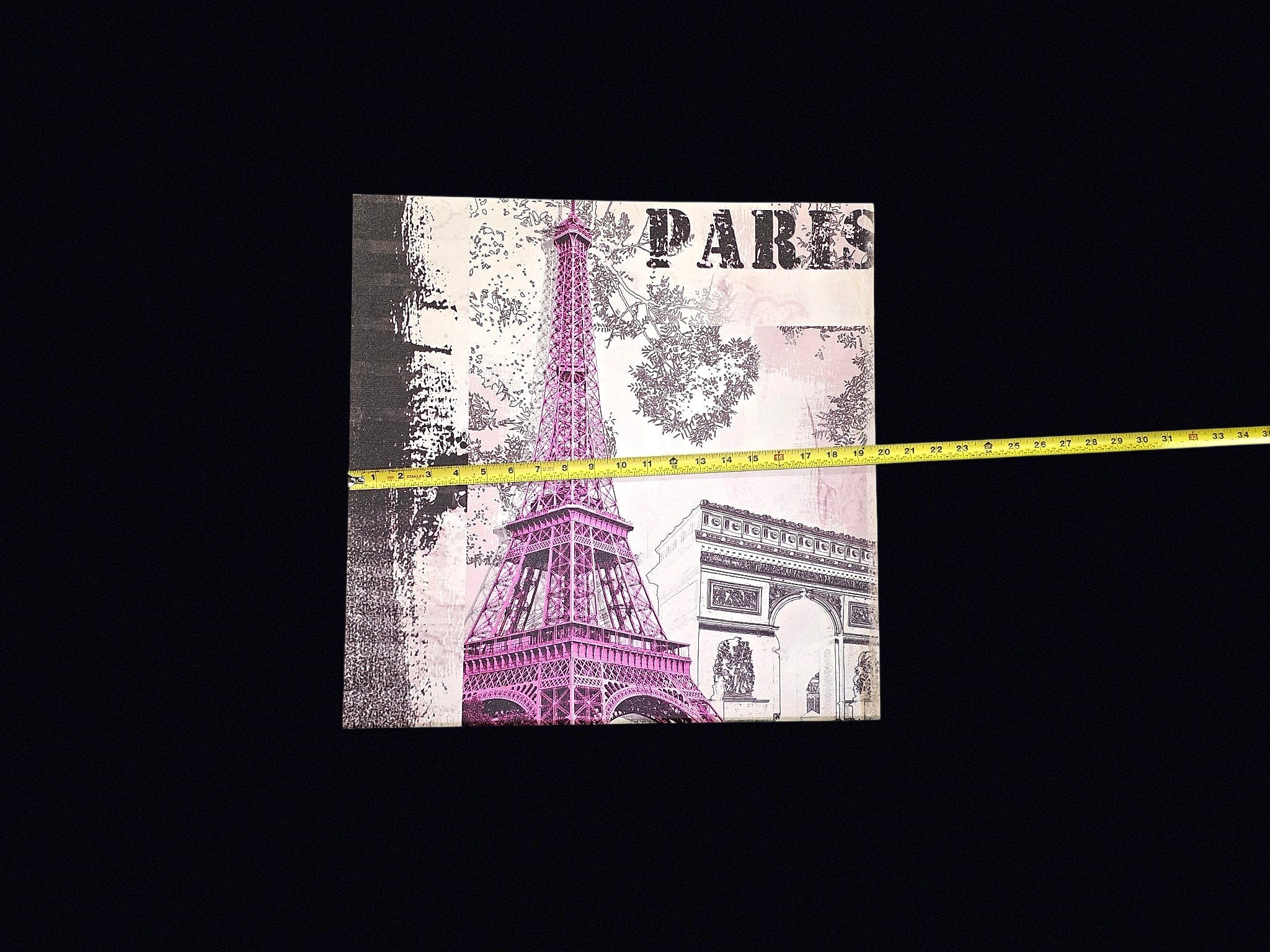 Paris Eiffel Tower Canvas Print 20x20