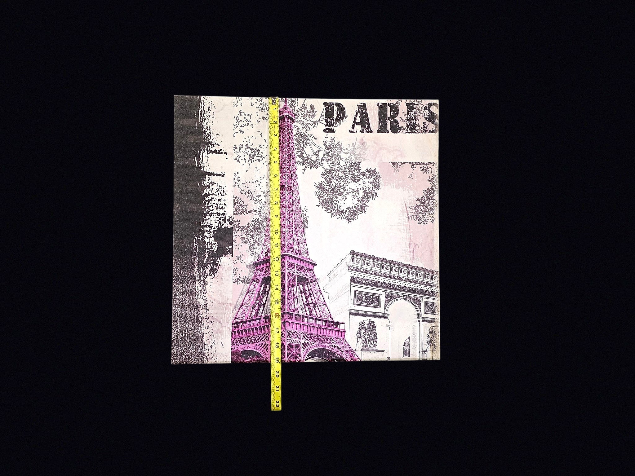 Paris Eiffel Tower Canvas Print 20x20