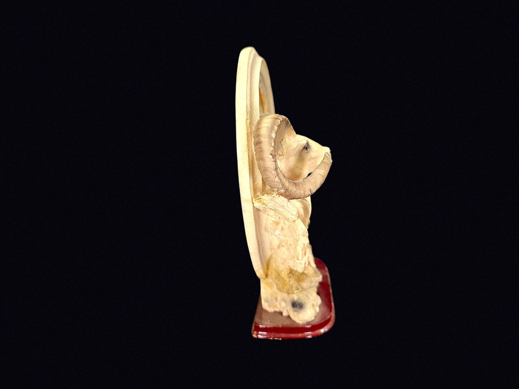 Goldenvale Collections Resin Bighorn Sheep
